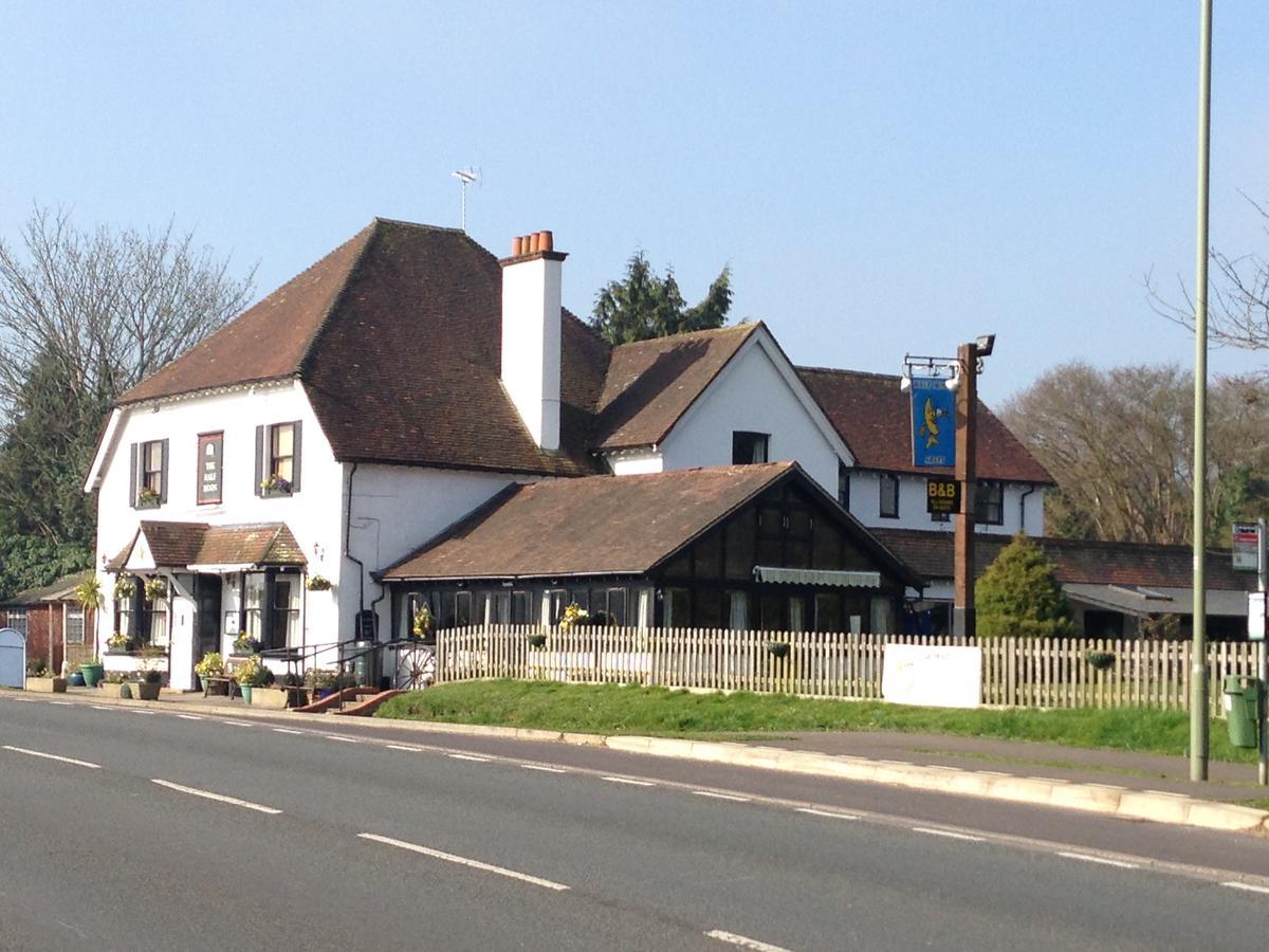 The Half Moon Petersfield Exterior foto